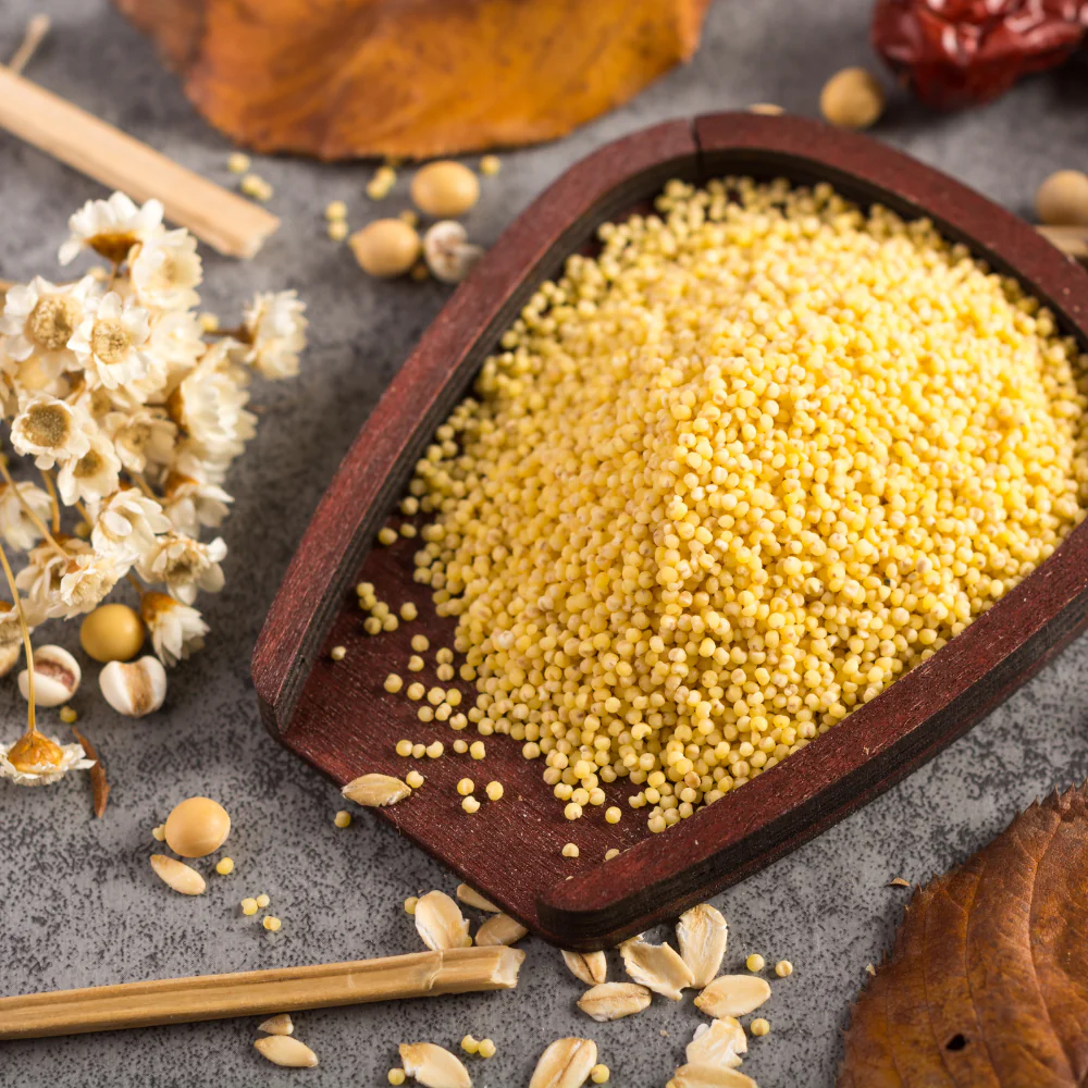 Pearl Millet