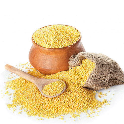 Pearl Millet