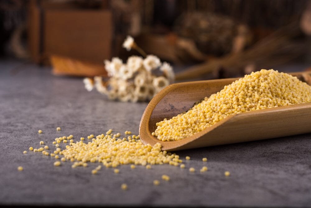 Foxtail Millet (Kangni)