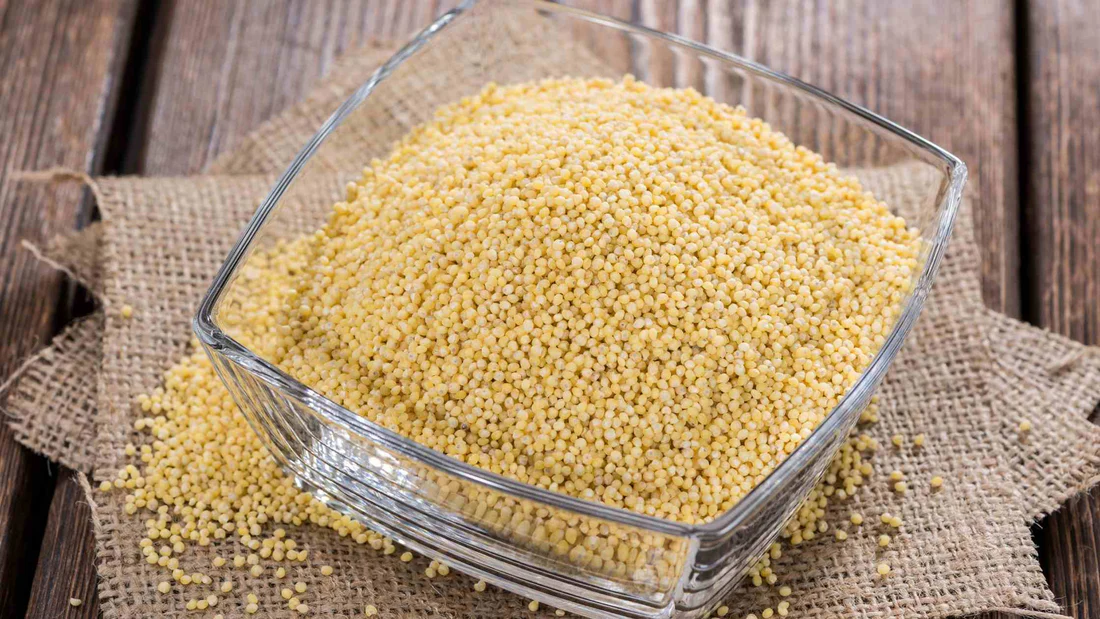 Pearl Millet